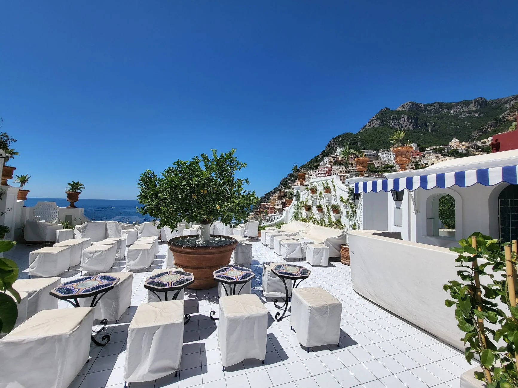 Lemon trees on a sunny Amalfi Coast terrace