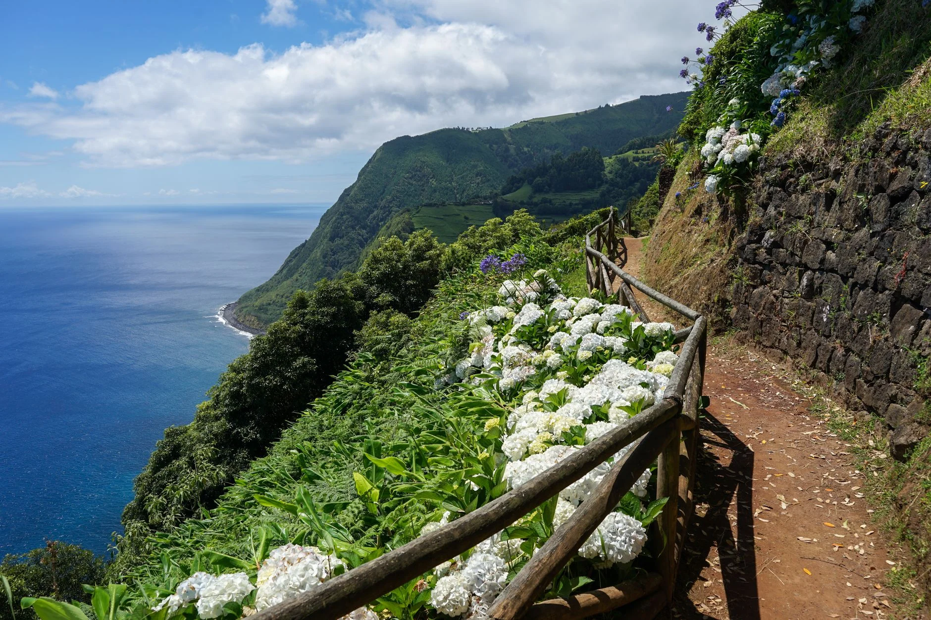 A hydrangea-lined road across a green Azores island