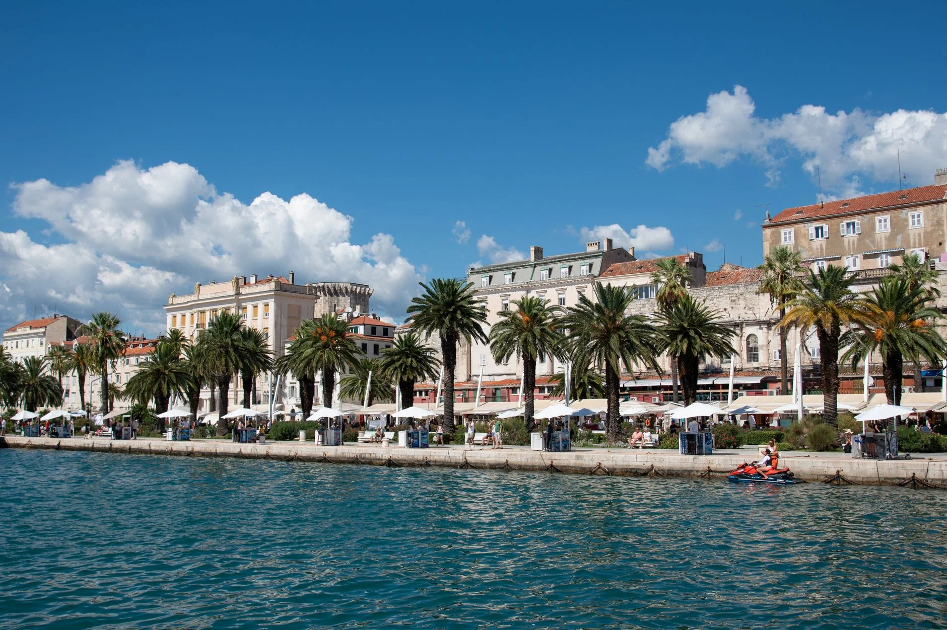 Split's waterfront riva lined with palms