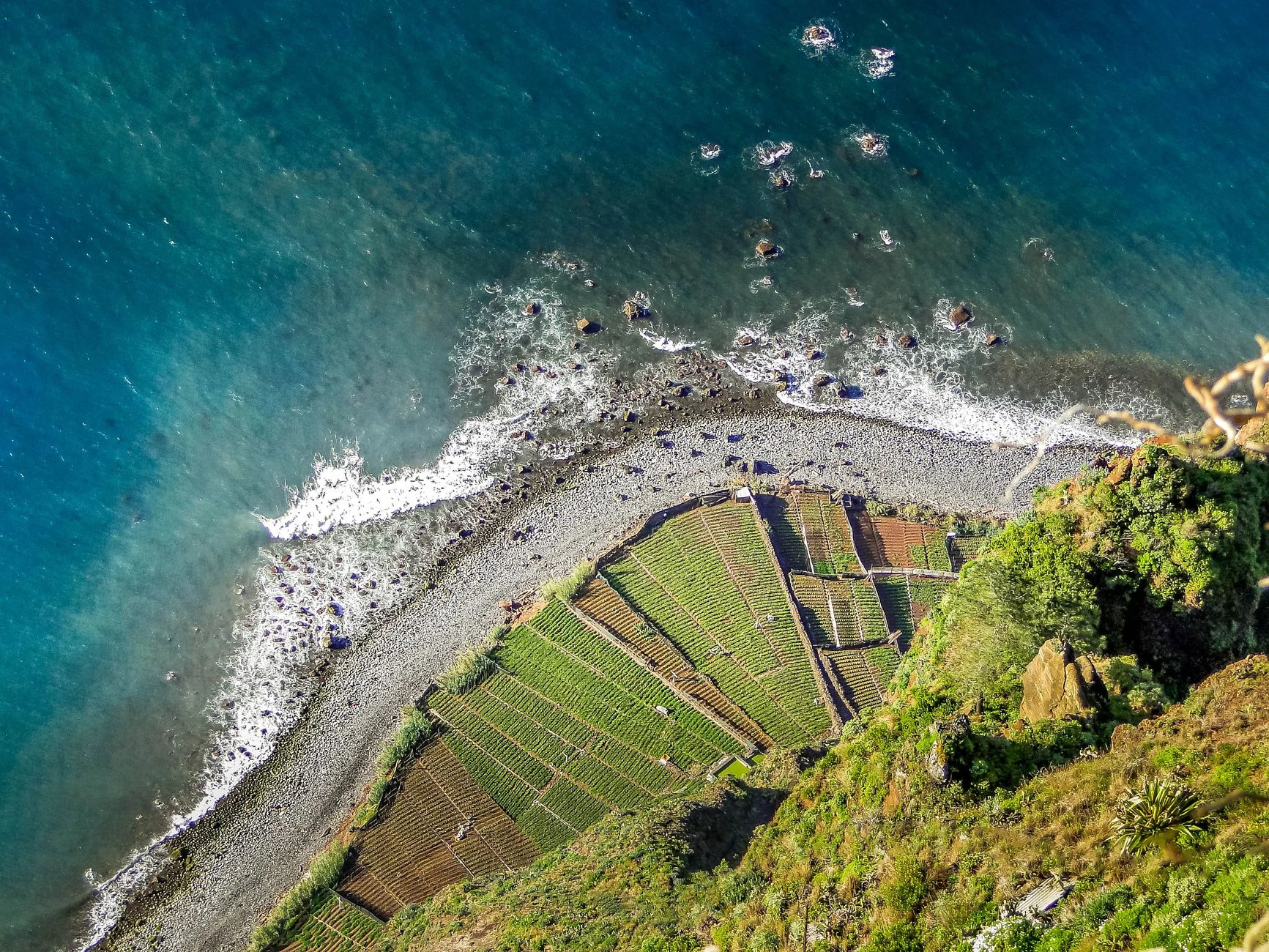 Madeira's dramatic coast above blue Atlantic water in sunshine