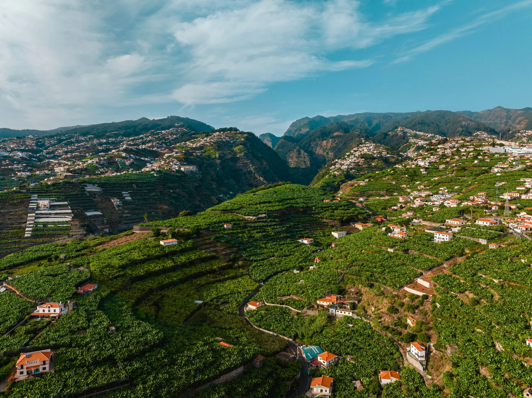 A Madeira coastal village among banana terraces